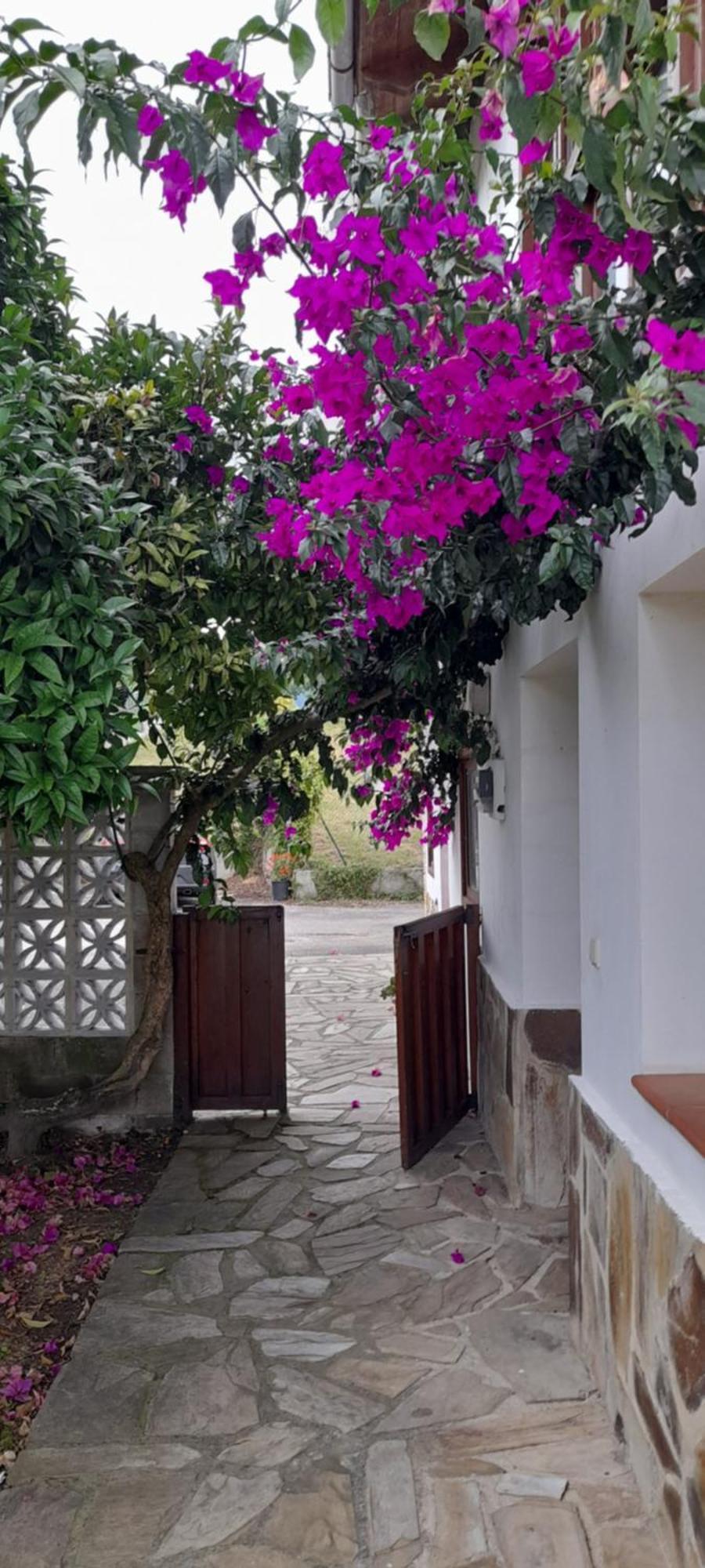 Gestiona2R - Casa Con Finca En Pendueles Al Lado De La Playa Llanes Buitenkant foto